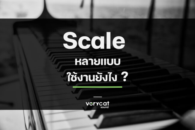 มี Scale หลายแบบ ใช้งานยังไง ?